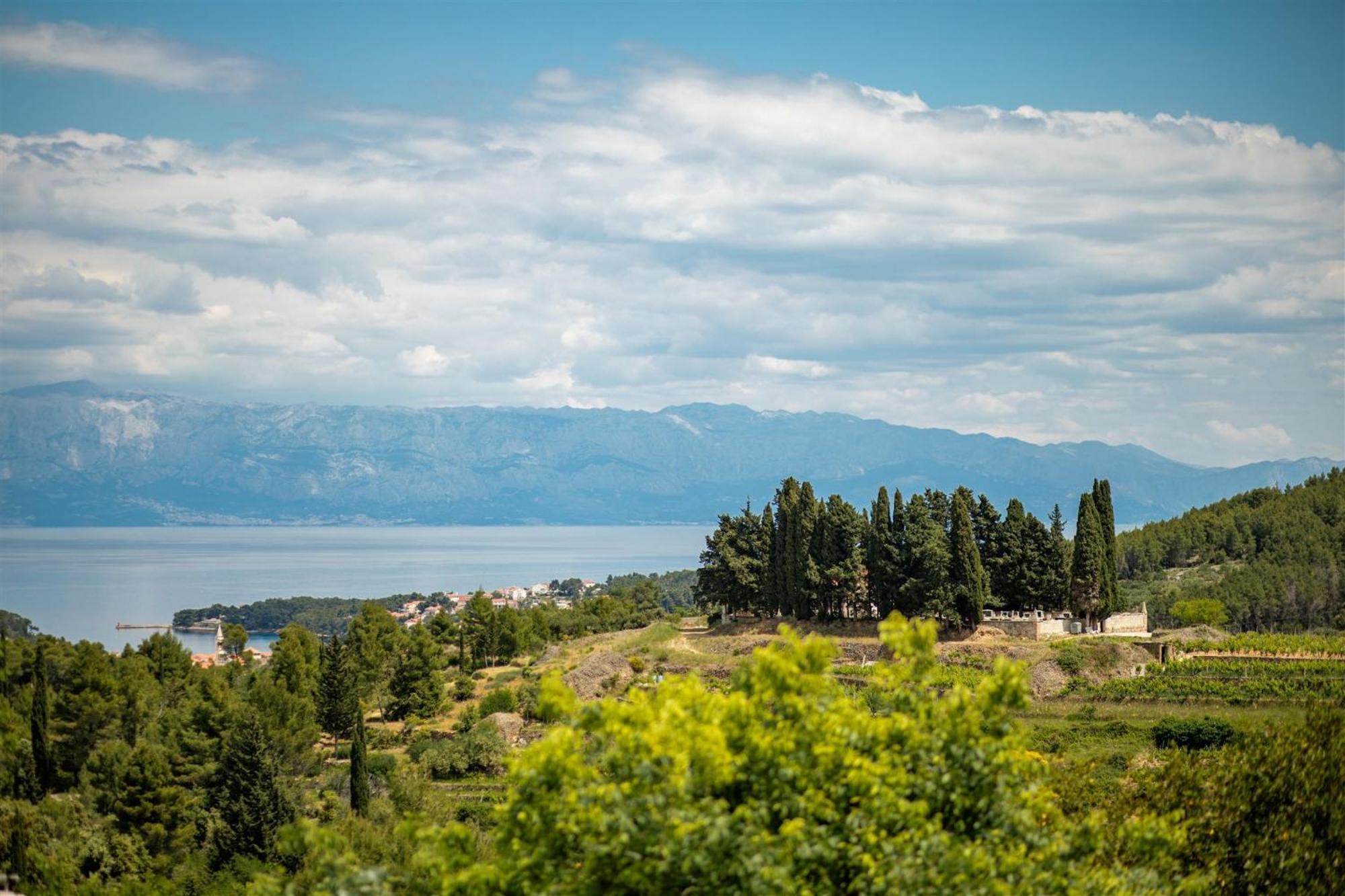 Villa Dvor Pitve Jelsa  Camera foto